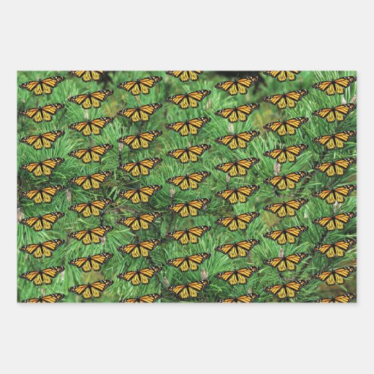 Cadeaupapier Monarchs op dennenboughs (Voorkant)