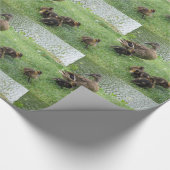 cadeaupapier voor eenden (Hoek)
