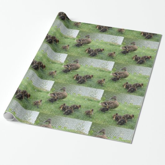 cadeaupapier voor eenden (Uitgerold)
