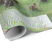 cadeaupapier voor eenden (Rol Hoek)