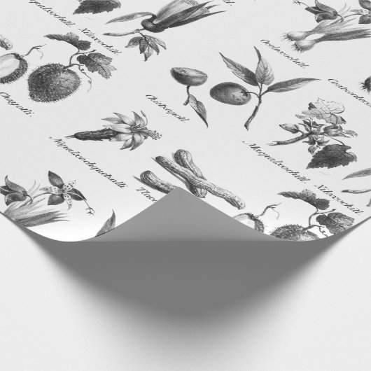 cadeaupapier voor het etsen van  exotische vruchte (Hoek)