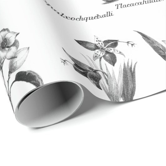 cadeaupapier voor het etsen van  exotische vruchte (Rol Hoek)