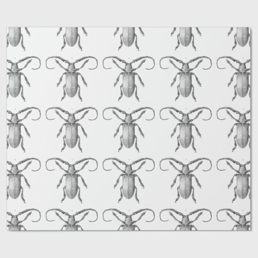 cadeaupapier voor  kever (Vlak)