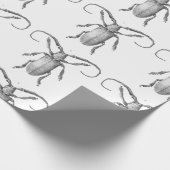 cadeaupapier voor kever (Hoek)