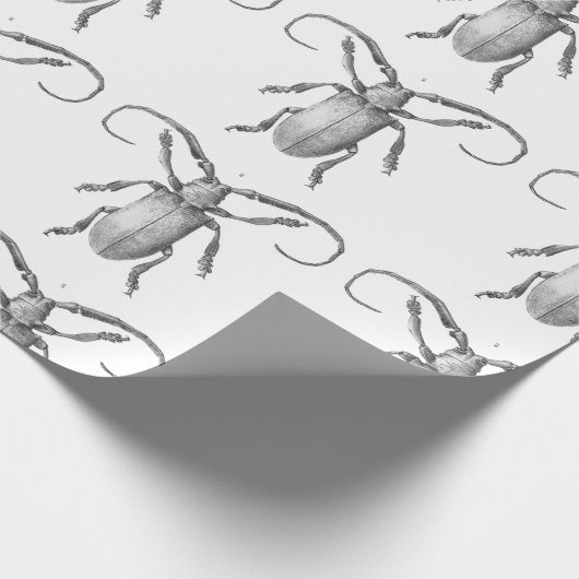 cadeaupapier voor  kever (Hoek)