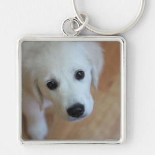 Cadeaus voor dierenvrienden sleutelhanger