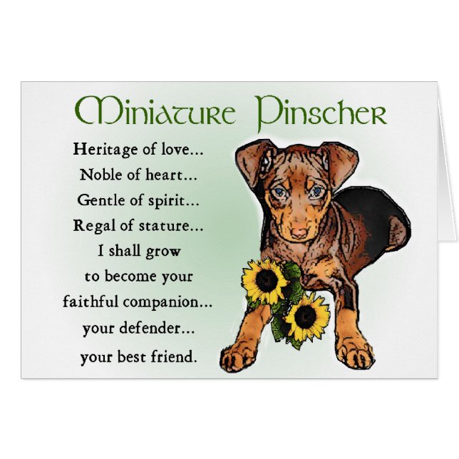 Cadeaus voor Miniature Pinscher (Voorkant Horizontaal)