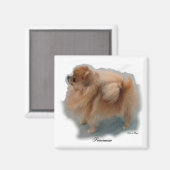 Cadeaus voor Pomeranian liefhebbers Magneet (Voorkant / Achterkant)