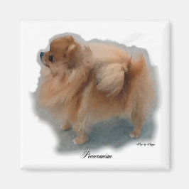 Cadeaus voor Pomeranian liefhebbers Magneet