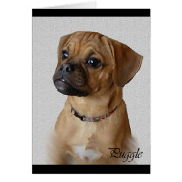Cadeaus voor Puggle-liefhebbers