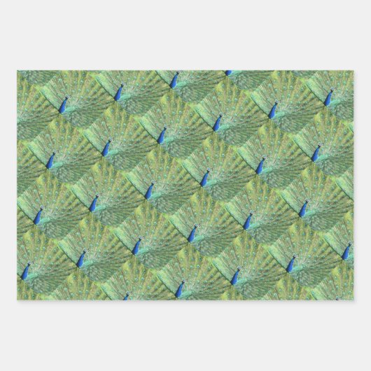 Cadeauset - Peacock-Afbeeldingen Inpakpapier Vel (Voorkant 2)