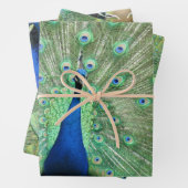 Cadeauset - Peacock-Afbeeldingen Inpakpapier Vel (In situ)