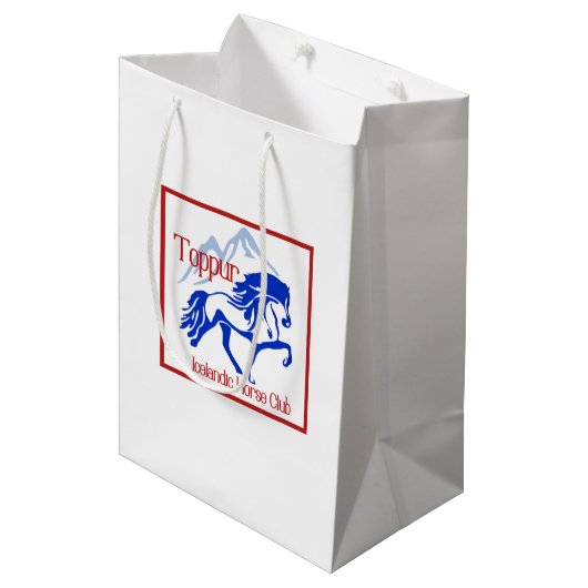 Cadeautas (Voorkant Gekanteld)