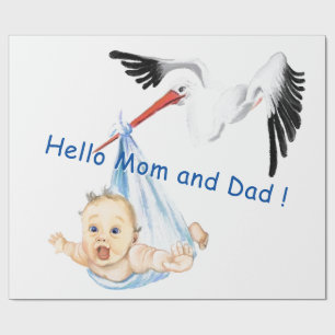 Cadeauverpakking Ooievaar Draagt Baby Leuk Cadeaupapier