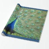 Cadeauverpakking - Pauw (v.2) Cadeaupapier (Uitgerold)
