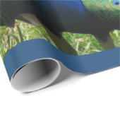 Cadeauverpakking - Pauw (v.2) Cadeaupapier (Rol Hoek)