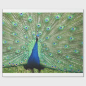 Cadeauverpakking - Peacock Cadeaupapier (Vlak)