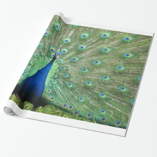 Cadeauverpakking - Peacock Cadeaupapier