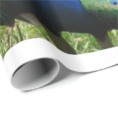 Cadeauverpakking - Peacock Cadeaupapier (Rol Hoek)