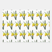 Cadeauverpakking Set - Daffodil bloesems X 3 Inpakpapier Vel (Voorkant 2)