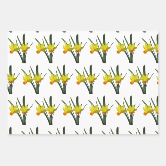 Cadeauverpakking Set - Daffodil bloesems X 3 Inpakpapier Vel (Voorkant 2)