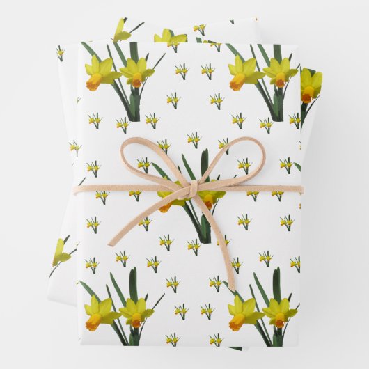 Cadeauverpakking Set - Daffodil bloesems X 3 Inpakpapier Vel (In situ)