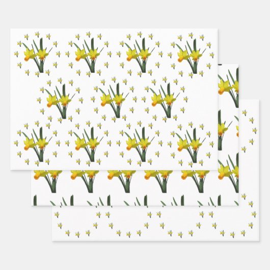 Cadeauverpakking Set - Daffodil bloesems X 3 Inpakpapier Vel (Set)