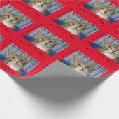 Cadeauverpakkings papier reddingskat (Hoek)