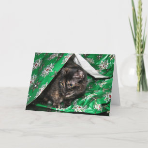 Cadeauverpakte schildpad feestdagen kaart