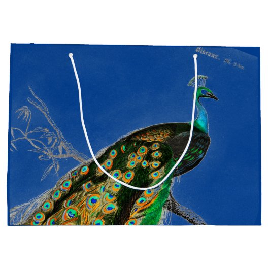 Cadeauzak in BLAUW Groot Cadeauzakje (Achterkant)