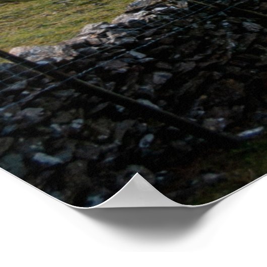 Cader Idris uit New Precipice Walk Poster (Hoek)