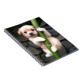 Caderno Espial Gaejook 개 죽 이 Notitieboek (Rechterzijde)