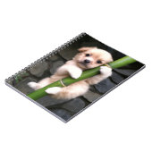 Caderno Espial Gaejook 개 죽 이 Notitieboek (Linkerzijde)