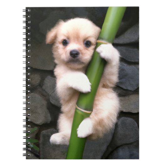 Caderno Espial Gaejook 개 죽 이 Notitieboek (Voorkant)