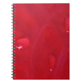 Caderno Espiral com Foto Notitieboek