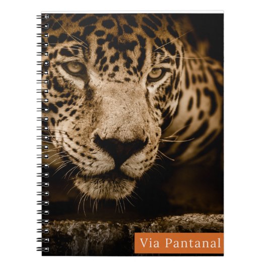 Caderno Via Pantanal Onça Notitieboek (Voorkant)