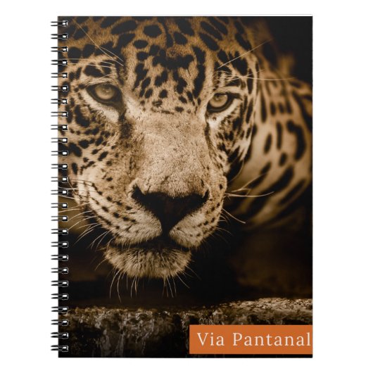 Caderno Via Pantanal Onça Notitieboek (Voorkant)