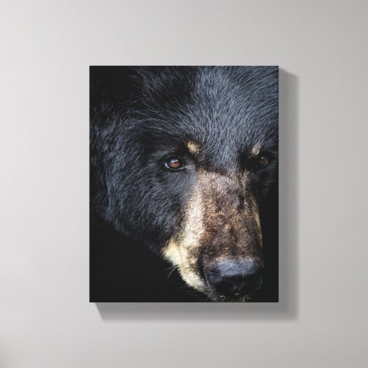 Cades Cove Black Beer Canvas afdrukken (Voorkant)