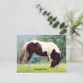Cades Cove briefkaart (Staand voorkant)