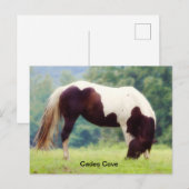 Cades Cove briefkaart (Voorkant / Achterkant)