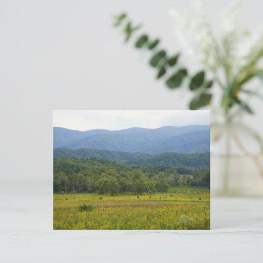 Cades Cove Briefkaart (Staand voorkant)