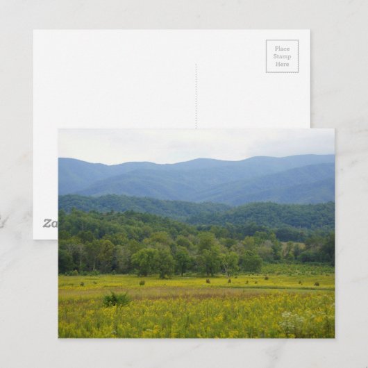 Cades Cove Briefkaart (Voorkant / Achterkant)