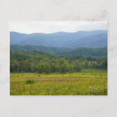 Cades Cove Briefkaart (Voorkant)