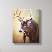 Cades Cove Buck Canvas Print (Voorkant)