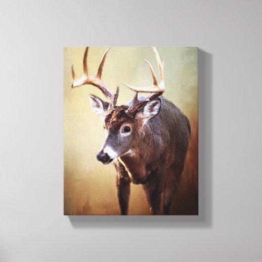 Cades Cove Buck Canvas Print (Voorkant)