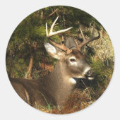 Cade's Cove Buck Ronde Sticker (Voorkant)