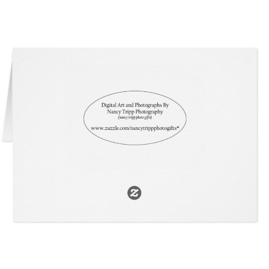 Cades Cove Cantilever Barn Tipton Place Smokies (Achterkant Horizontaal)