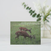 Cades Cove deer Smoky Mountains Scripts Briefkaart (Staand voorkant)