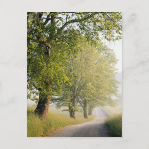 Cades Cove   Great Smokey Mountains, TN Briefkaart