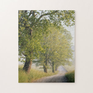 Cades Cove   Great Smokey Mountains, TN Legpuzzel